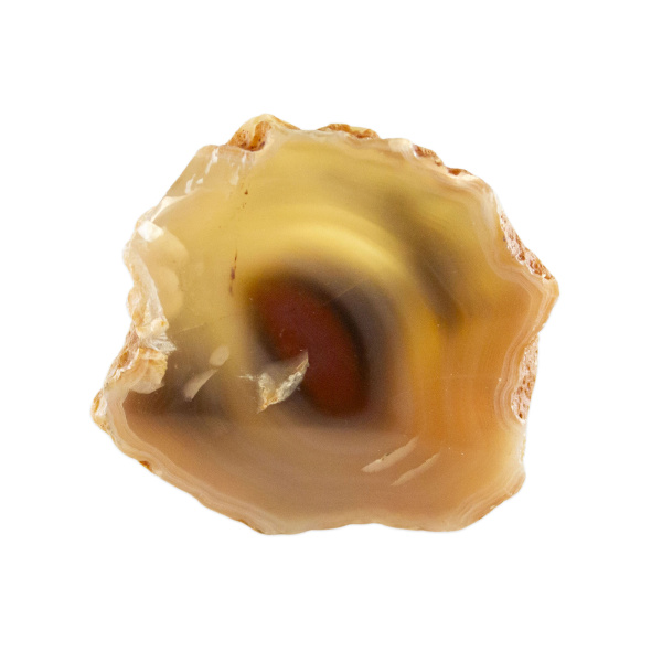 Polished Red Sashe River Agate Nodule