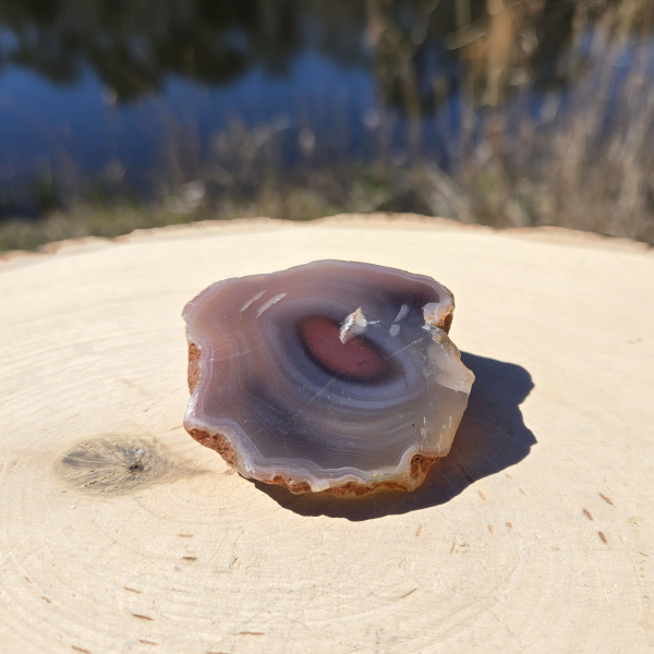 Polished Red Sashe River Agate Nodule - Image 2