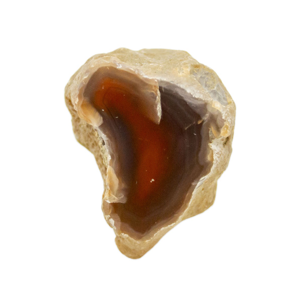 Polished Red Sashe River Agate Nodule