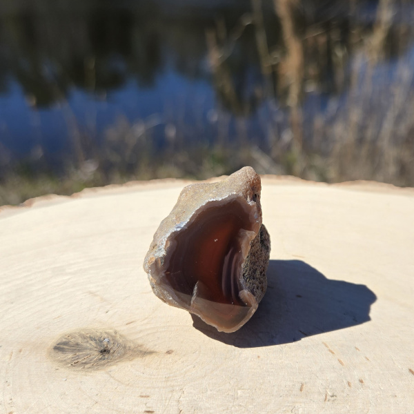 Polished Red Sashe River Agate Nodule - Image 3