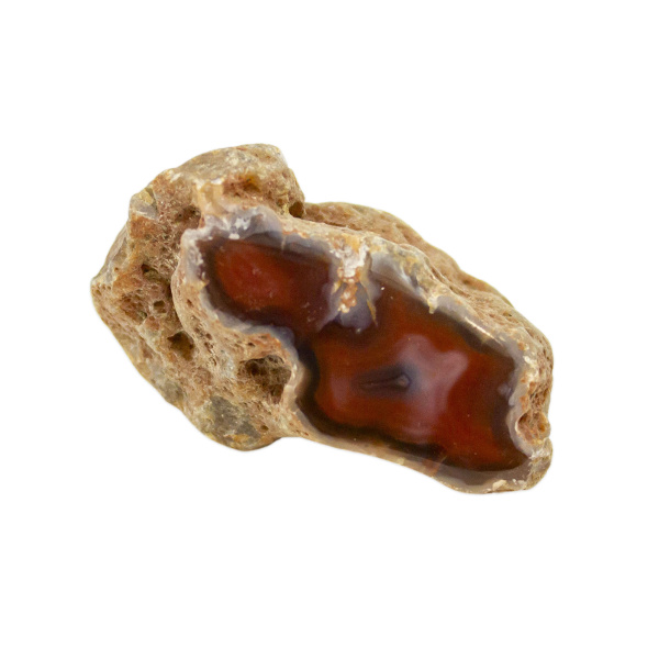 Polished Red Sashe River Agate Nodule