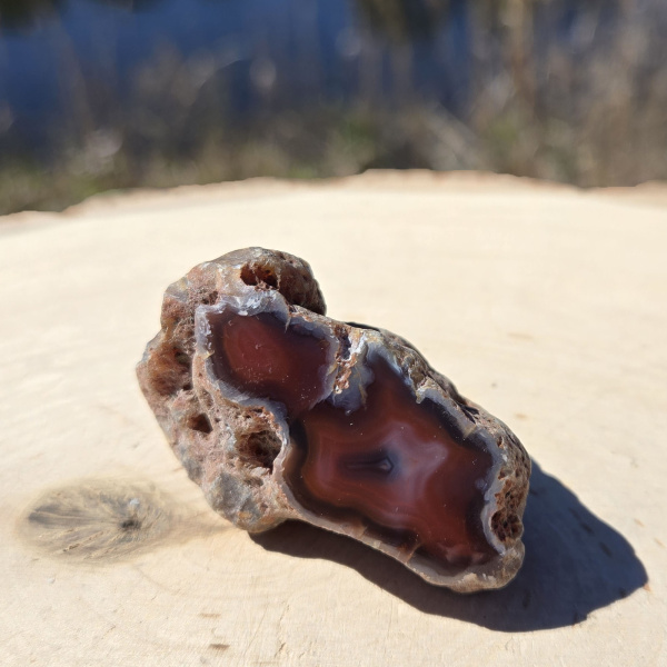 Polished Red Sashe River Agate Nodule - Image 3