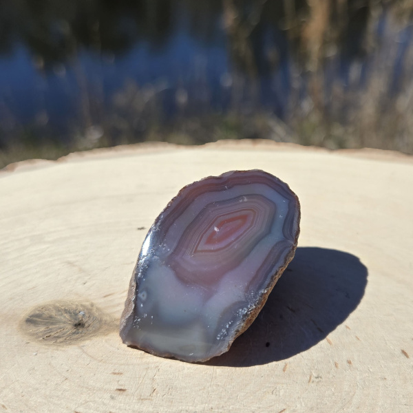 Polished Red Sashe River Agate Nodule - Image 3