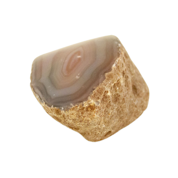 Polished Red Sashe River Agate Nodule - Image 2
