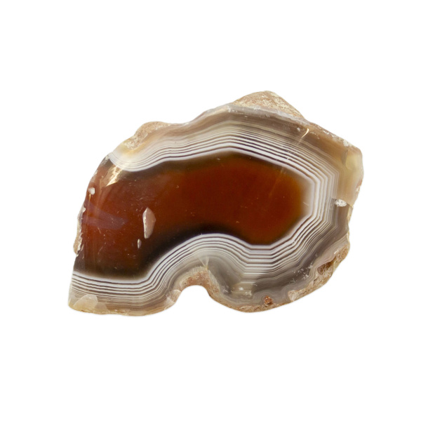 Polished Red Sashe River Agate Nodule