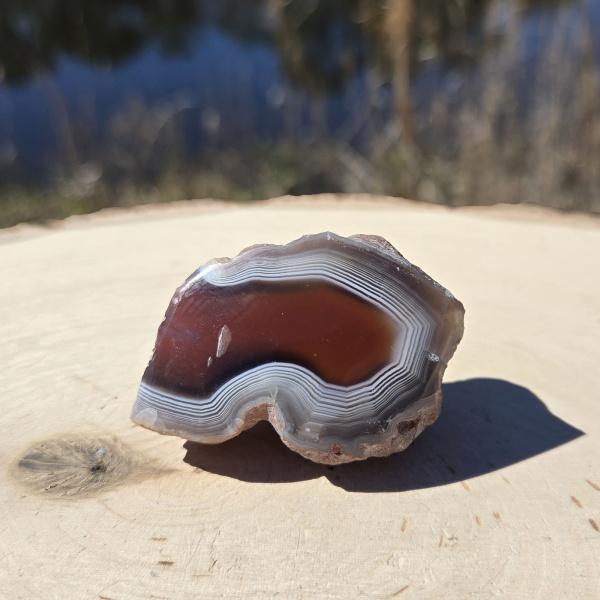 Polished Red Sashe River Agate Nodule - Image 2