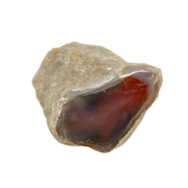 Polished Red Sashe River Agate Nodule