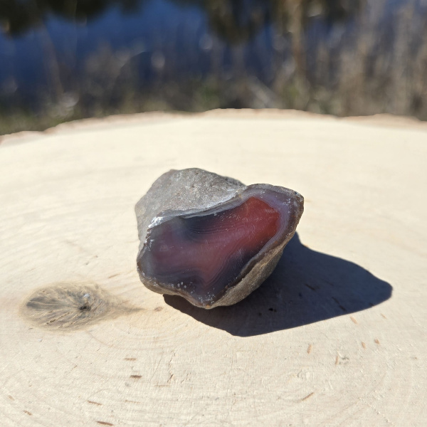 Polished Red Sashe River Agate Nodule - Image 3