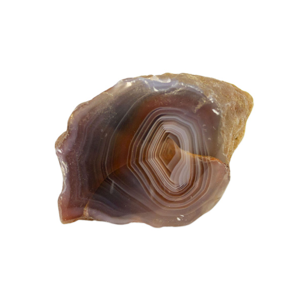 Polished Red Sashe River Agate Nodule