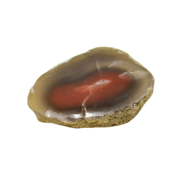 Polished Red Sashe River Agate Nodule
