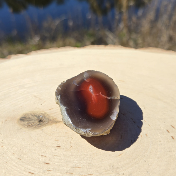 Polished Red Sashe River Agate Nodule - Image 3