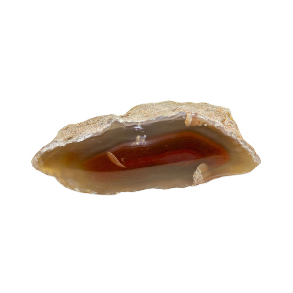 Polished Red Sashe River Agate Nodule