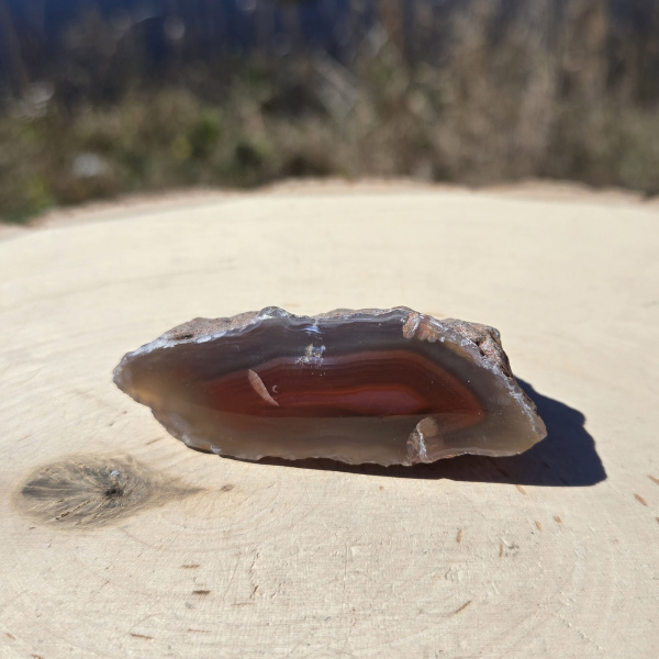 Polished Red Sashe River Agate Nodule - Image 3