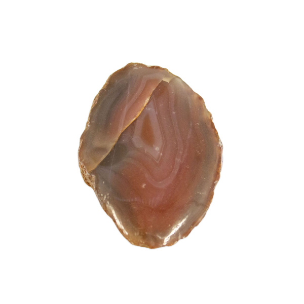 Polished Red Sashe River Agate Nodule
