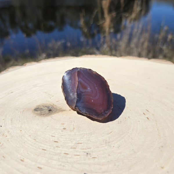 Polished Red Sashe River Agate Nodule - Image 3
