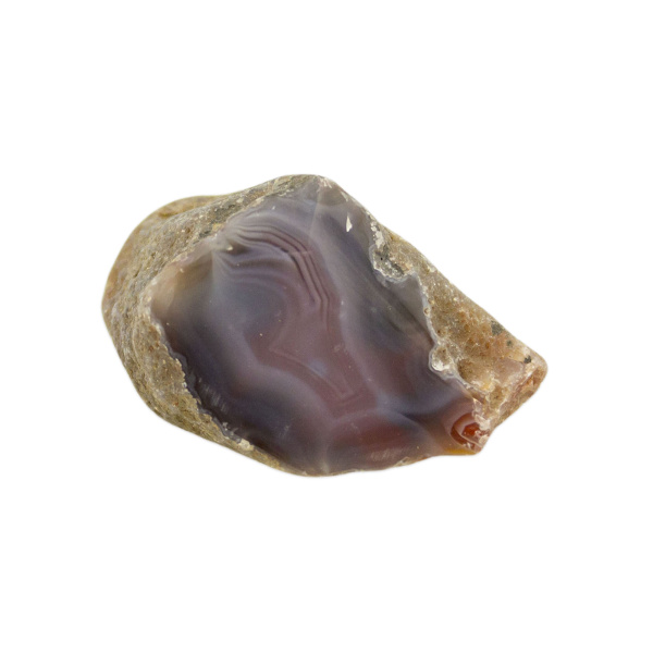 Polished Red Sashe River Agate Nodule