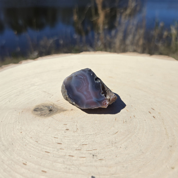 Polished Red Sashe River Agate Nodule - Image 3