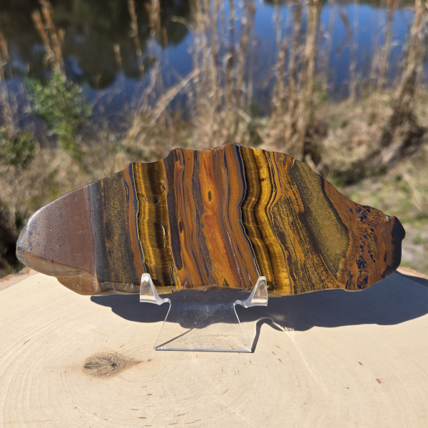 Tiger's Eye Polished Slab
