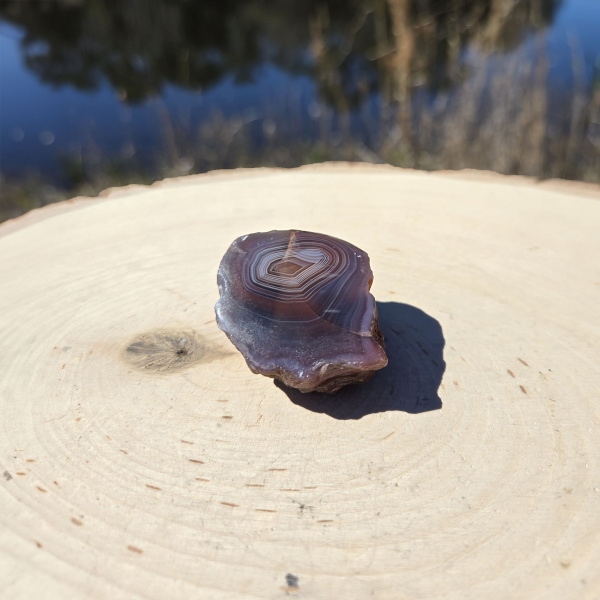 Polished Red Sashe River Agate Nodule - Image 3