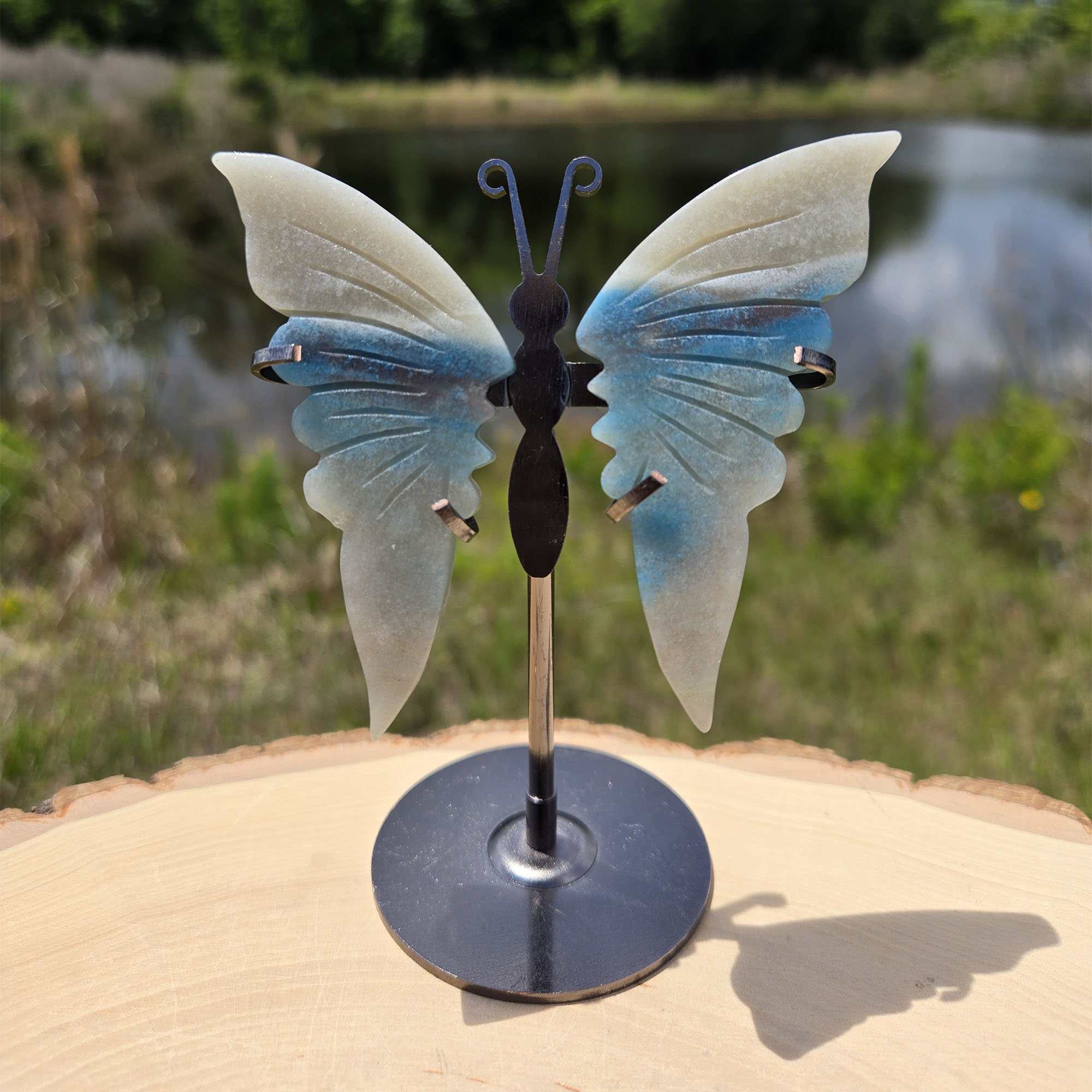 Trolleite Butterfly on Stand