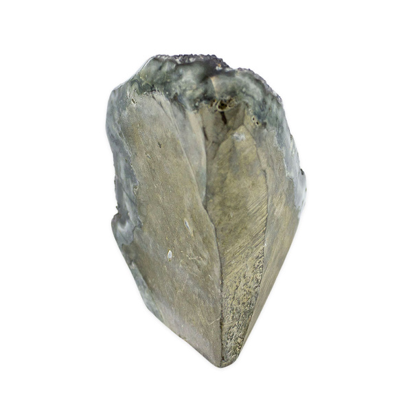 Black Galaxy Amethyst - Image 3