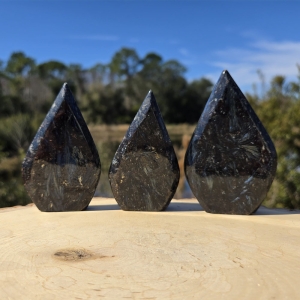 Arfvedsonite Freeform