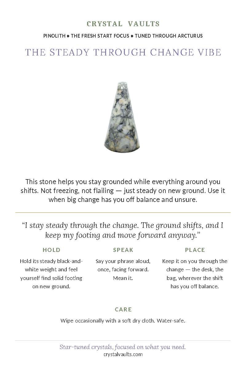 The Steady Through Change Vibe - Image 2