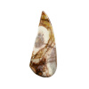 Birds Eye Jasper Cabochon - Image 2