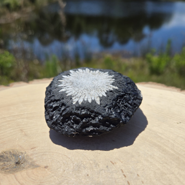 Chrysanthemum Stone