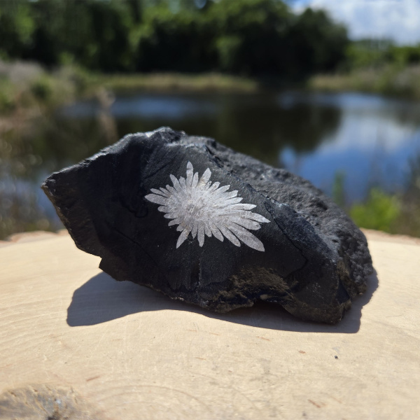 Chrysanthemum Stone