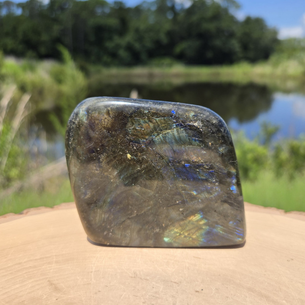 Labradorite Polished Freeform