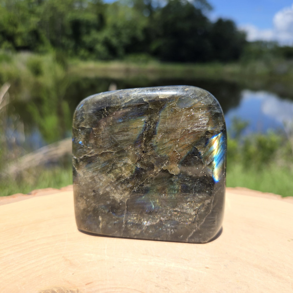Phoenix Rising Attuned Labradorite Polished Freeform