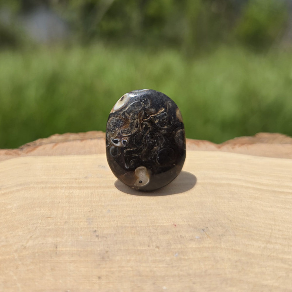 Ocean Jasper Cabochon