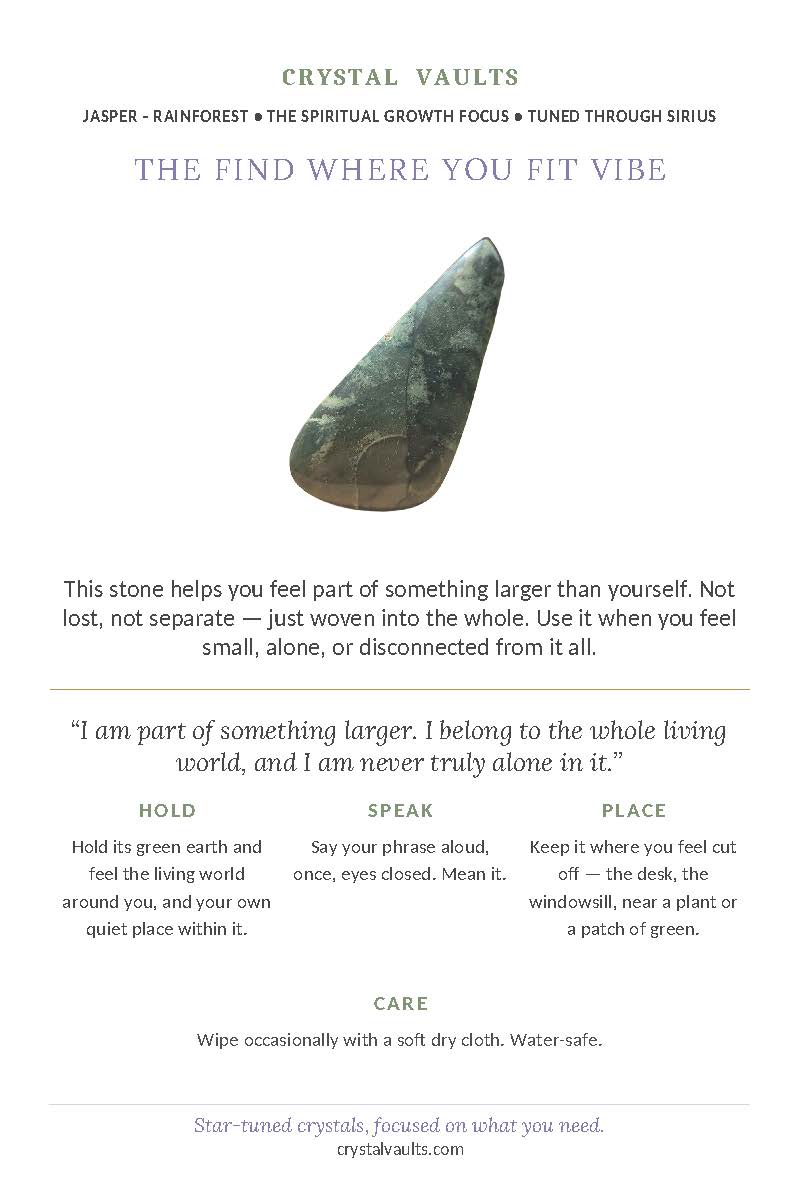 Find Where You Fit Vibe - Image 2