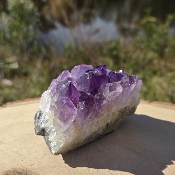 Dark Amethyst Druzy Cluster