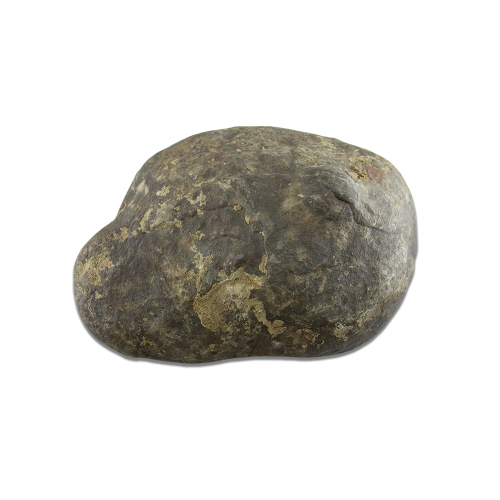 Septarian Nodule Slab - Image 2