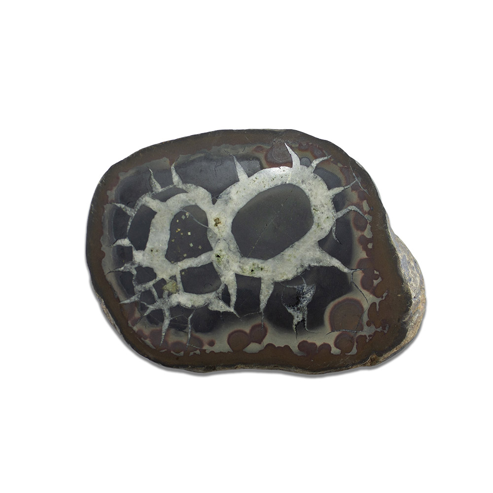 Septarian Nodule Slab