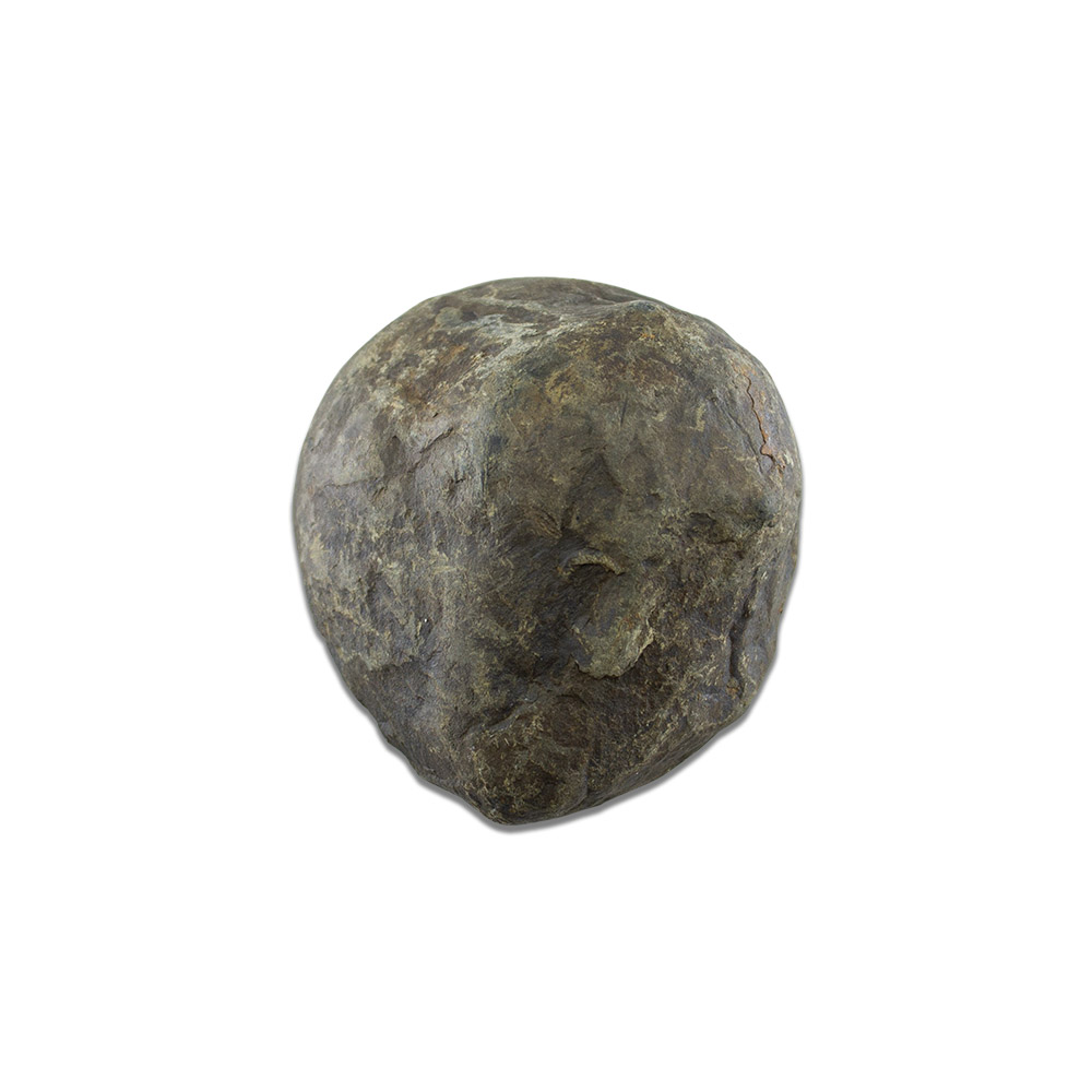 Septarian Nodule Slab - Image 2