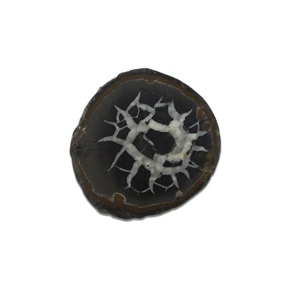 Septarian Nodule Slab