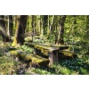 Zen of the Glen -  Rare Crystal Elixir of Extraordinary Potency for True Stress Relief - Image 6