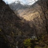 Zen of the Glen -  Rare Crystal Elixir of Extraordinary Potency for True Stress Relief - Image 4