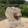 Agate Altar Stone - Image 2
