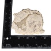 Agate Altar Stone - Image 4