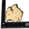 Howlite Altar Stone - Image 3