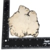 Howlite Altar Stone - Image 4