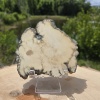 Howlite Altar Stone