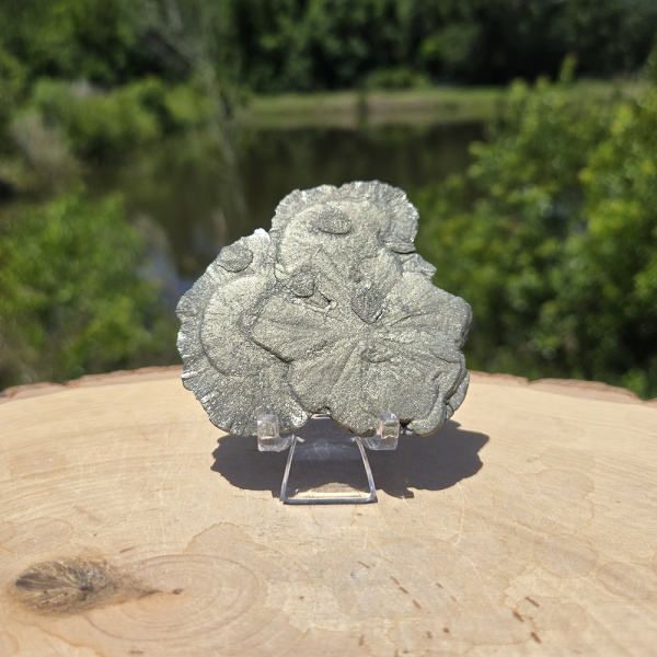 Pyrite Sun