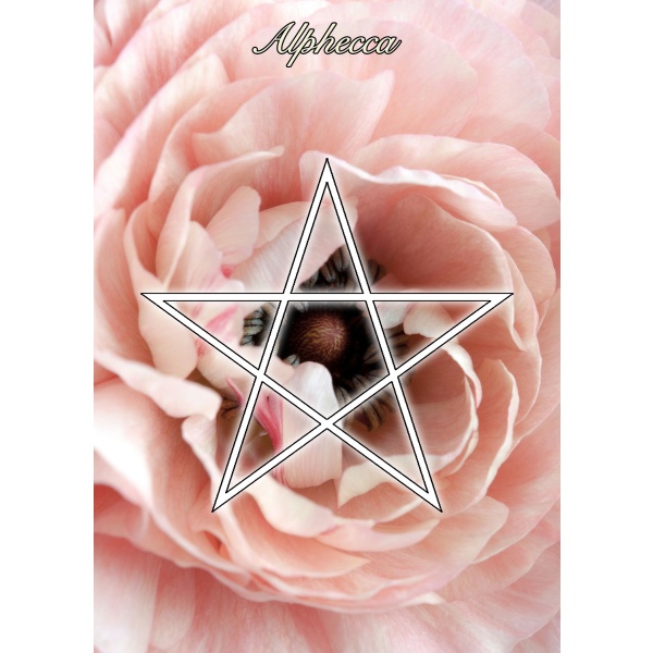 Alphecca Starlight Ritual Candle Kit - Image 2