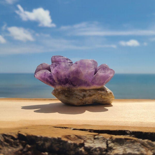 Amethyst Flower