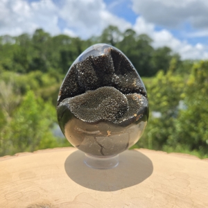Septarian Druzy Egg